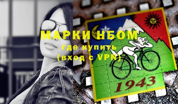 индика Бугульма