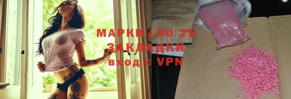 apvp Бородино