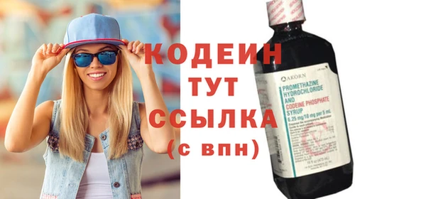 apvp Бородино