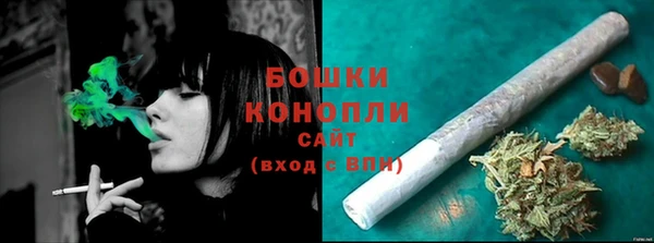 apvp Бородино