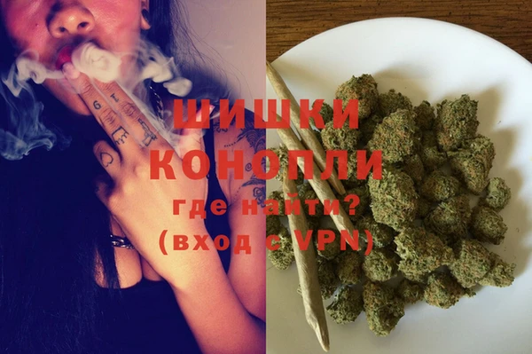 apvp Бородино