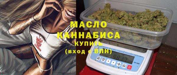 apvp Бородино