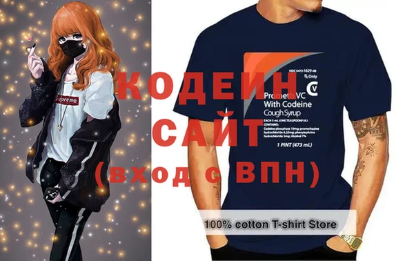 индика Бугульма