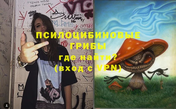 индика Бугульма