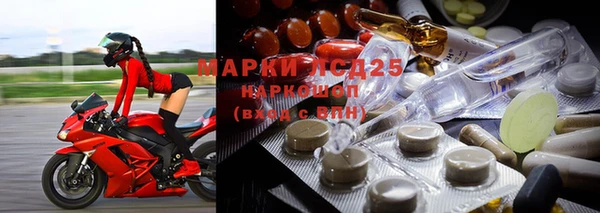 apvp Бородино
